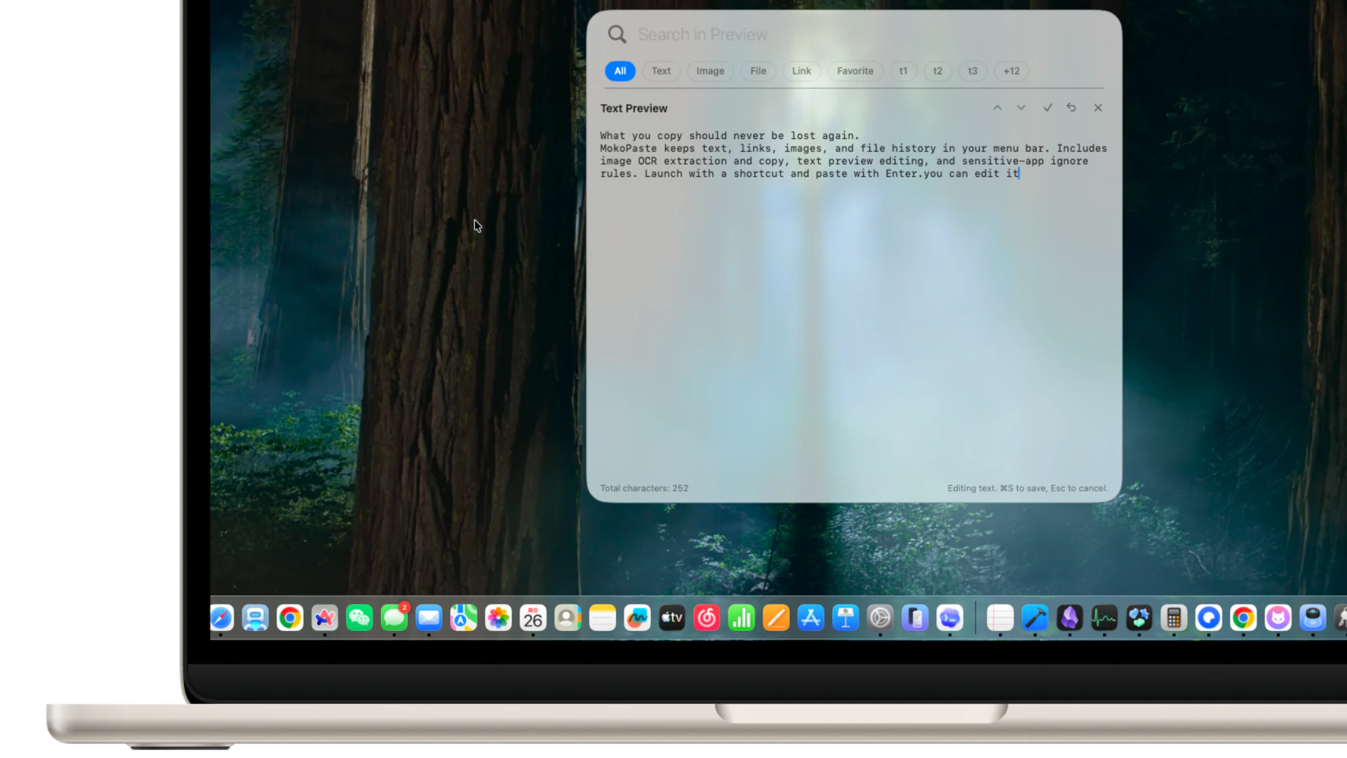 Text preview editing (real app screenshot)